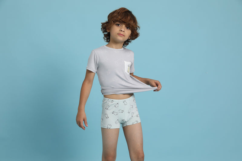 Boys Boxer C009-M 3 pcs