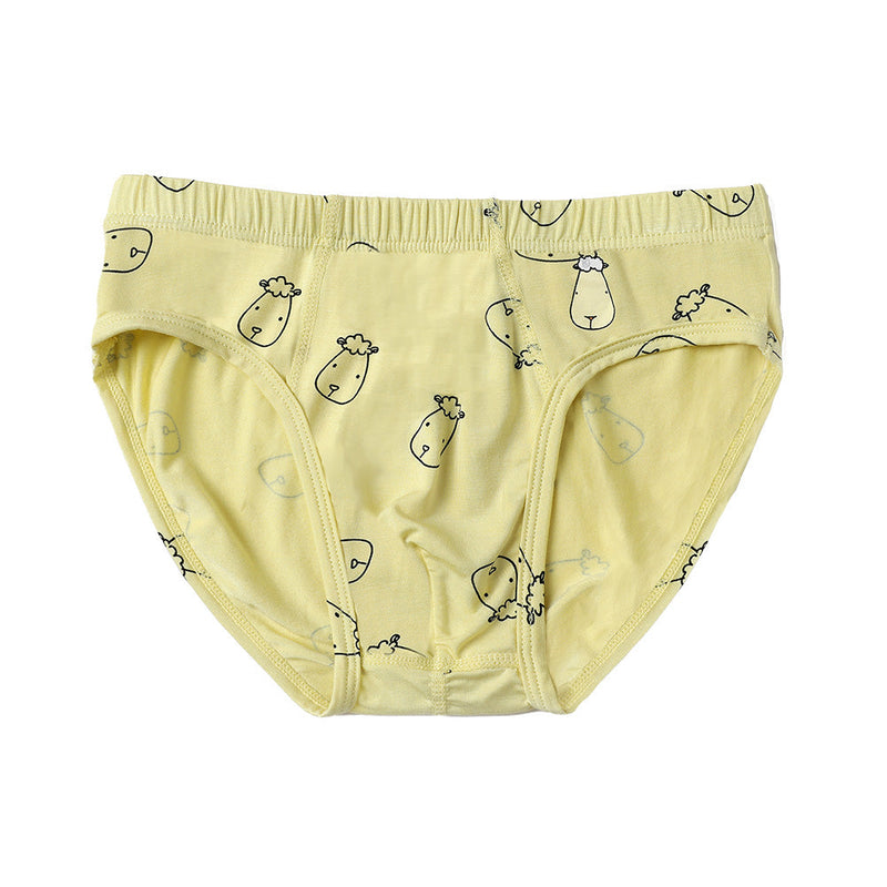 Boys Briefs C011-B 3 pcs