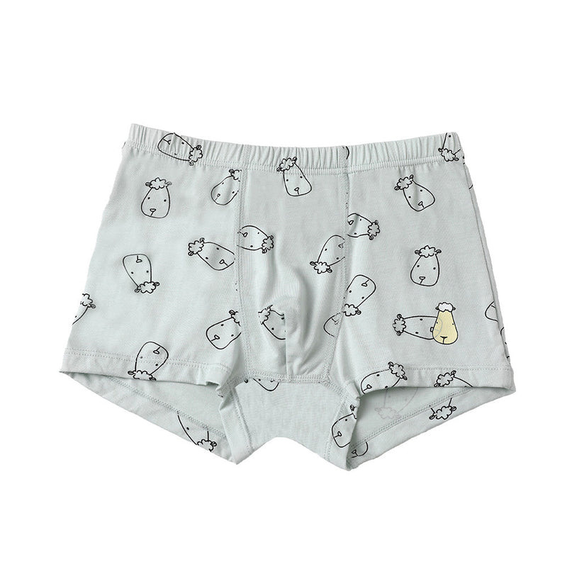 Boys Boxer C009-M 3 pcs