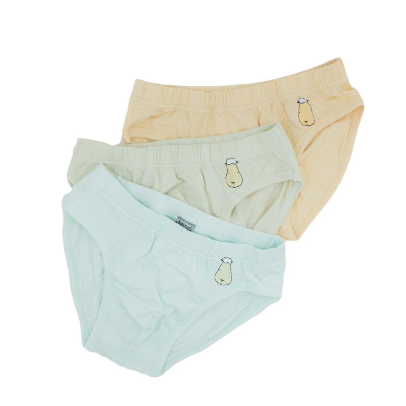 Boys Briefs C001 3 pcs