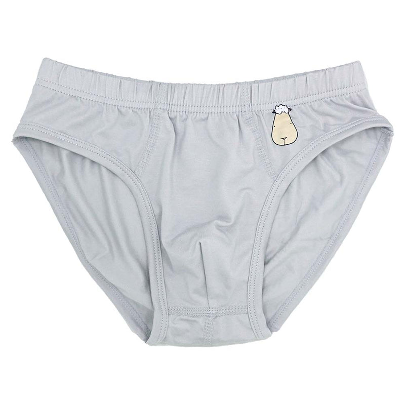Boys Briefs A Grey-M