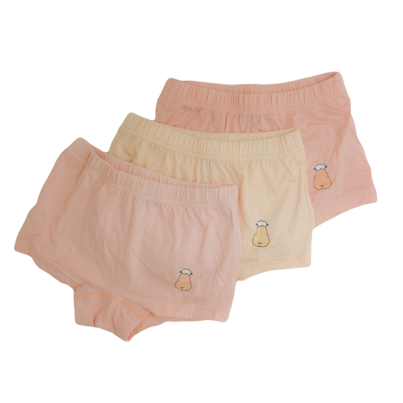 Girls Boxer C002 3 pcs